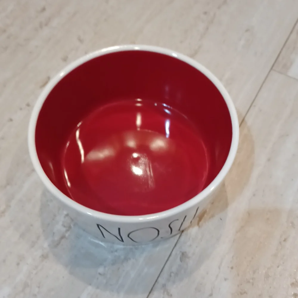 Rae Dunn Nosh Pet Bowl